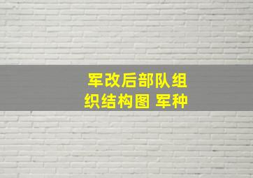 军改后部队组织结构图 军种